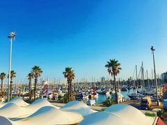 -小巴塞罗那海滩