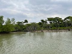 -东寨港红树林旅游区