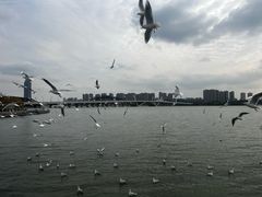 -蠡湖大桥公园