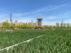 -永定河休闲森林公园