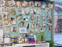 -爱妮康宠物医院·干细胞免疫细胞·肿瘤·心脏(张江店)