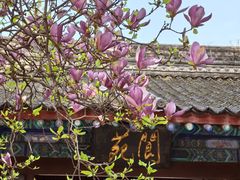-万寿八仙宫
