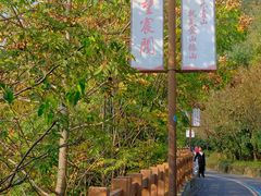 -杭州半山国家森林公园