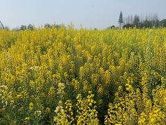 -中国天府农业博览园