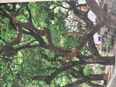 -小洲村