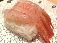 -大起水产回转寿司(道顿堀店)