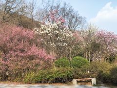 -南京市江宁方山