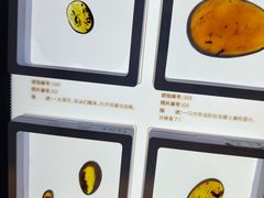 -中华赏石园