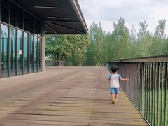 -白鹭湾湿地公园