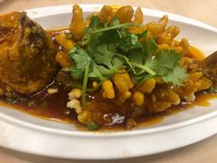 -泰煌鸡·上海白斩鸡·沪菜(平利店)