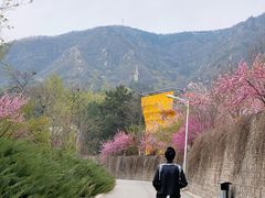 -北京鹫峰国家森林公园