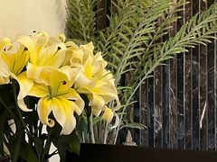 -Dragonfly悠庭·按摩Spa(静安嘉里中心店)