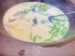 -咕嘟草帽鱼·牛奶一样的鲜鱼汤(包河万达广场创始店)