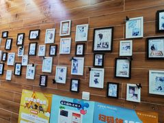 -美联众合宠物医院·爱萌分院·内外科·猫科中心