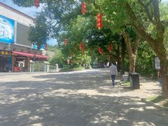 -溪口-滕头旅游景区