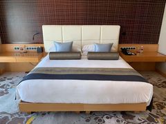 -新加坡文华东方酒店