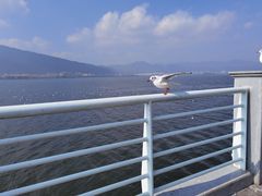 -海埂大坝