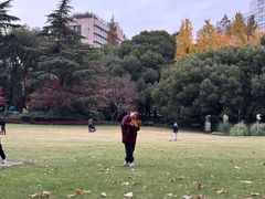 -中山公园