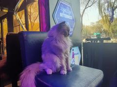 -悦界酒吧(后海店)