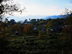 -塔川景区