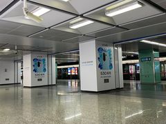 -宋家庄(地铁站)