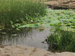 -舍利塔滩地公园-无垢净光舍利塔