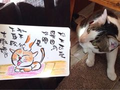 海边的猫和咖啡馆-海边的猫和咖啡馆