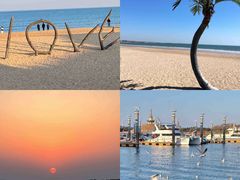 -巧克力渔家.小船海鲜家常菜(万平口店)