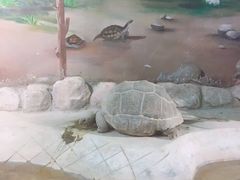 -太原动物园