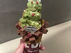 -哈根达斯(国瑞店)