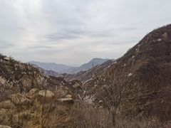 -大岭沟猕猴桃谷风景区