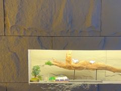 -沐·SPA悠享影院足道(海岸城店)