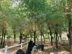-优沃得自然教育农场·冰雪乐园·生日会·研学