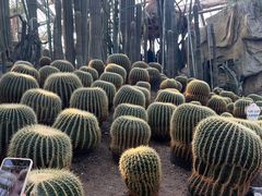 -南山植物园