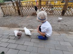-1982农场