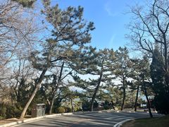 -棒棰岛宾馆景区