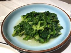 -席家花园(巨鹿花园店)