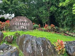 -七仙岭温泉国家森林公园