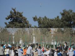 -丁香湖公园