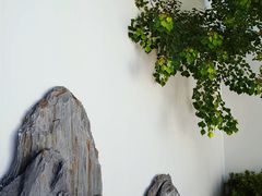 -青果巷历史文化街区