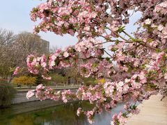 -海棠花溪(元大都城垣遗址公园)