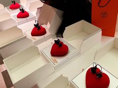 -BLACKSWAN黑天鹅(环球店)