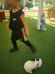 -萌宠亲子动物乐园(槐房万达店)