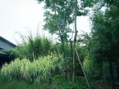 -Apple零售店(成都太古里店)