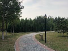 -永定河休闲森林公园