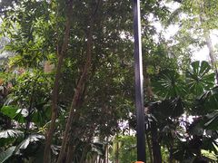 -布里斯班南岸公园