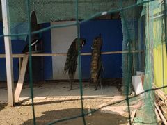 -白塘生态植物园