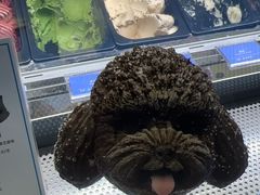 -CORNER CONE GELATO酷矿手作霜淇淋(南头古城店)
