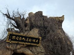 -大槐树寻根祭祖园
