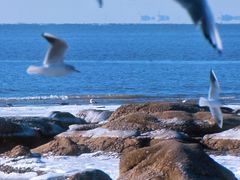 -老虎石海上公园